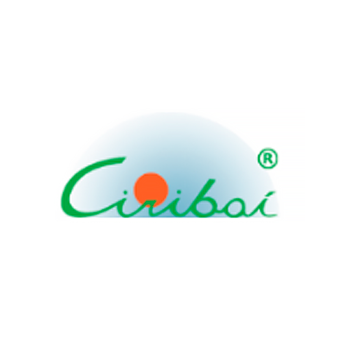 Ciribaí Praia Hotel